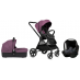 Avent%2FAvent_2013%2F607-purple-m3-700223